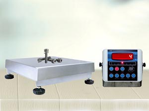 Counting Scales